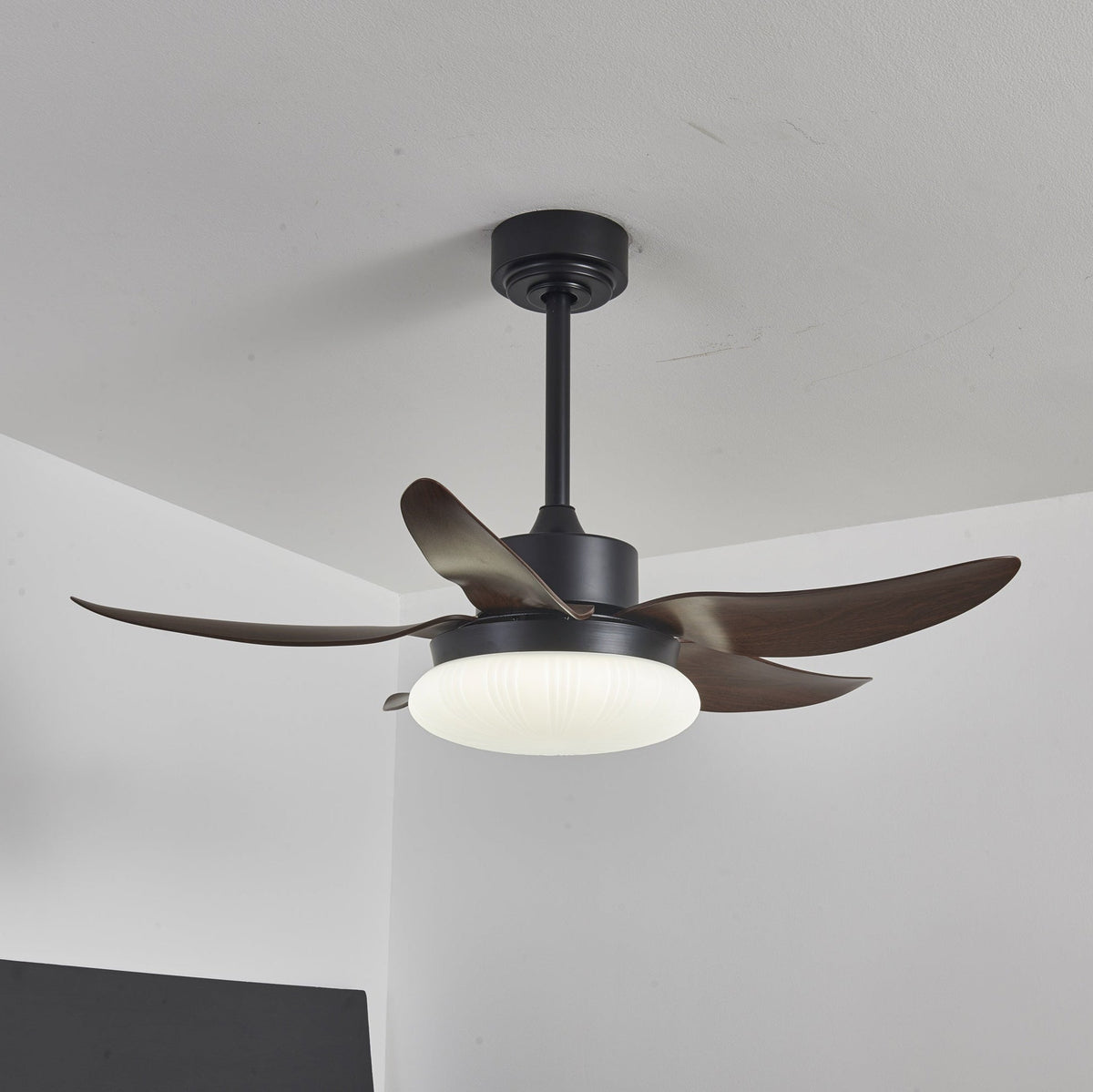 Belline Walnut Palm Blade LED Ceiling Fan Light