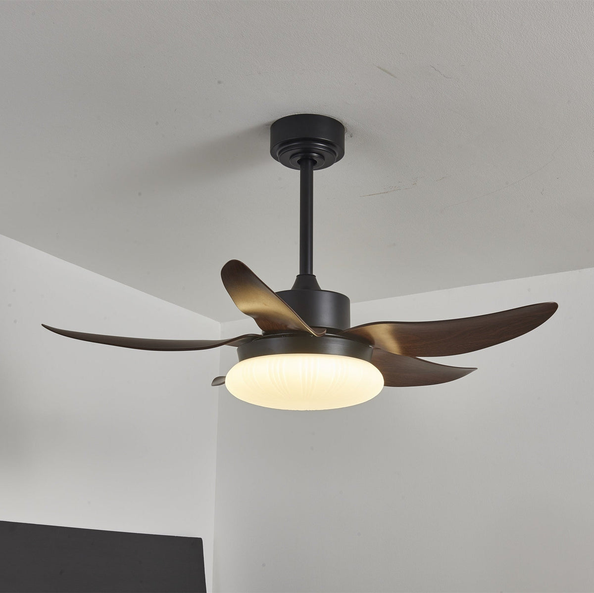Belline Walnut Palm Blade LED Ceiling Fan Light