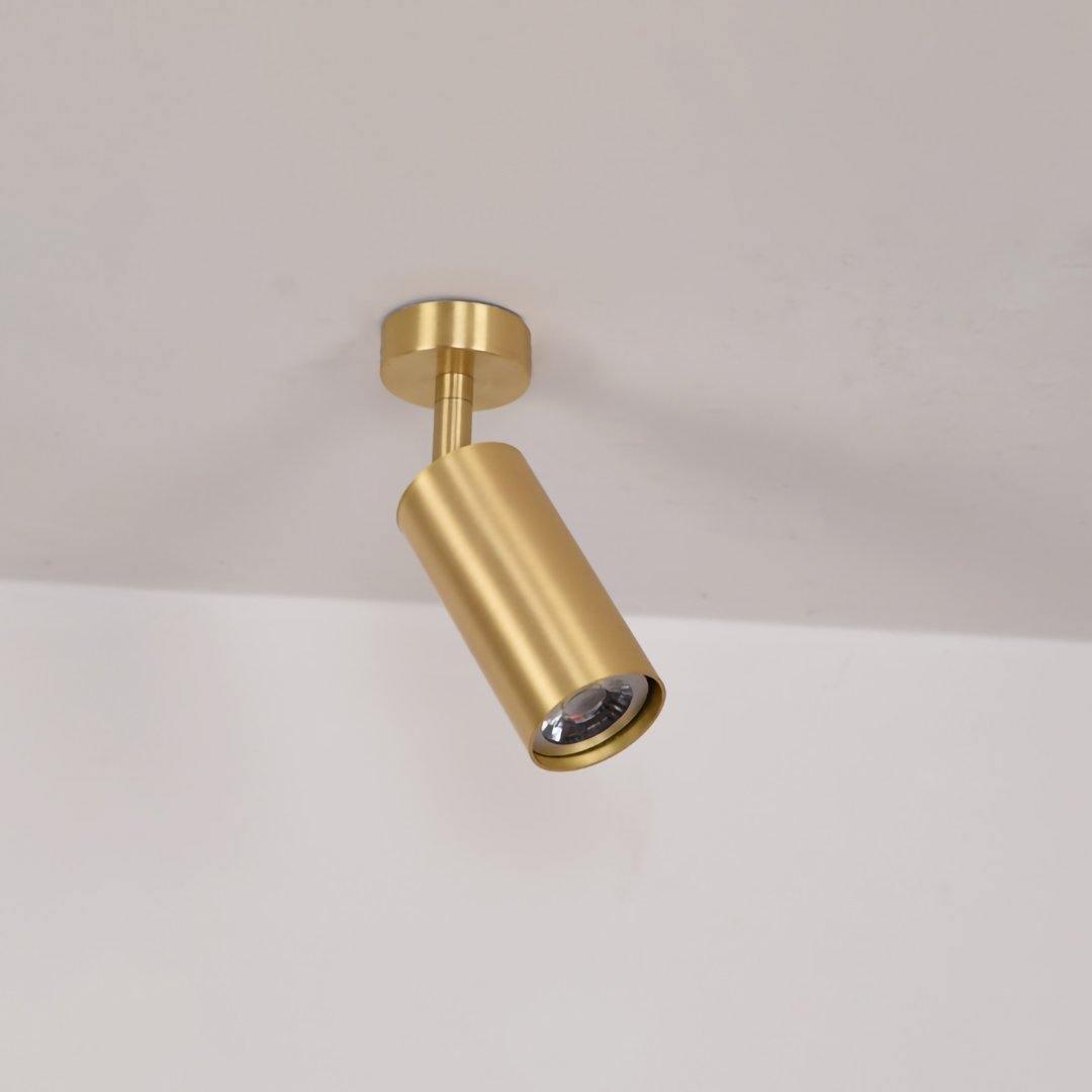 Ziva Adjustable Spotlight Wall Light