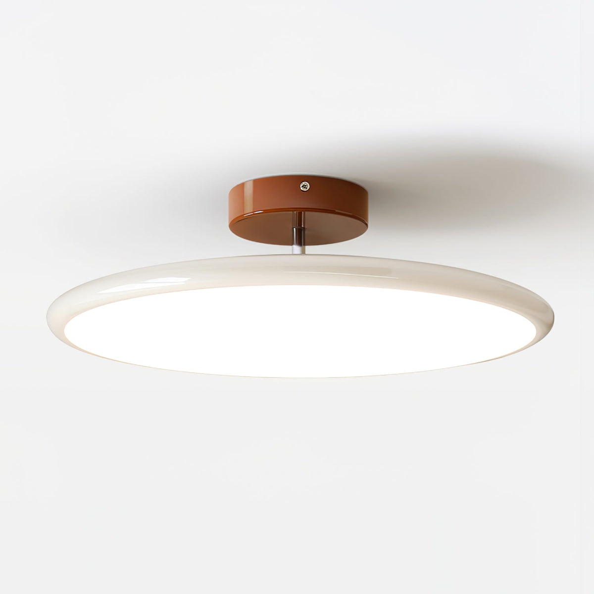 Solace Adjustable Swing Arm Ceiling Light