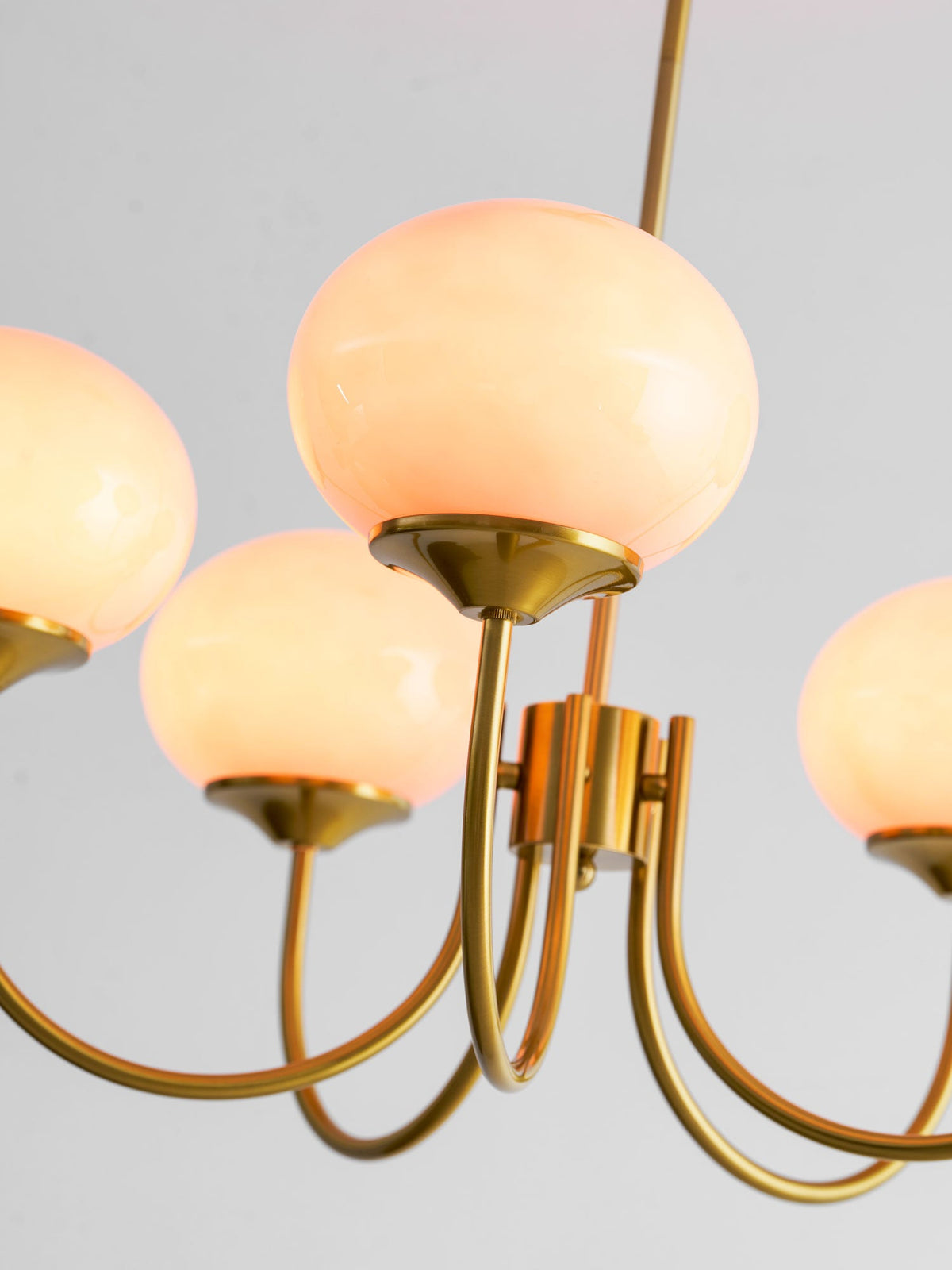 Mallow Glass Shade Chandelier