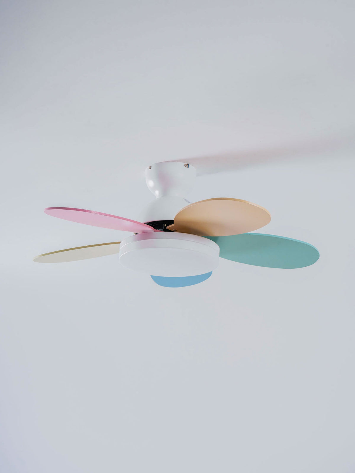 Petalo Petal Blade Ceiling Fan Light