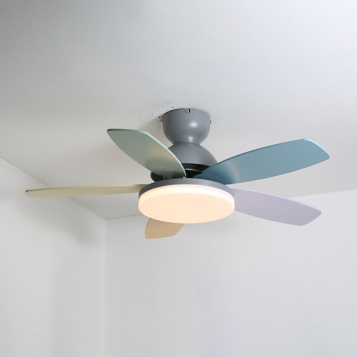 Petalo Petal Blade Ceiling Fan Light