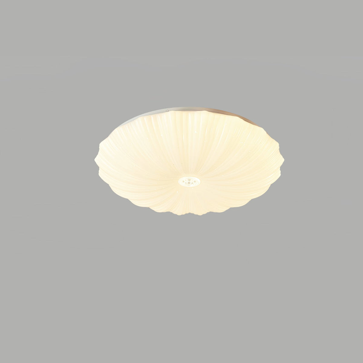 Conque Acrylic Shell LED Ceiling Light product photo