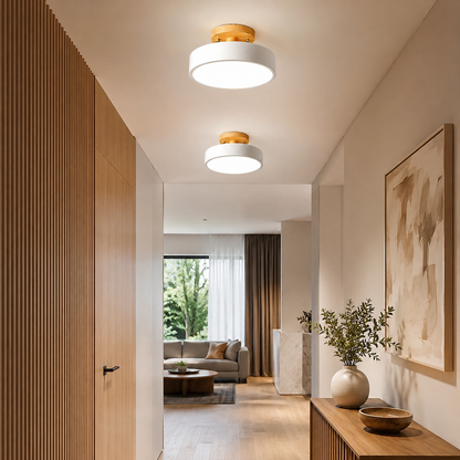 Lunor Nordic Ceiling Light