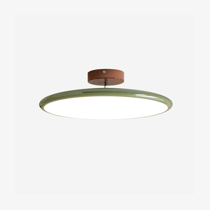 Solace Adjustable Swing Arm Ceiling Light