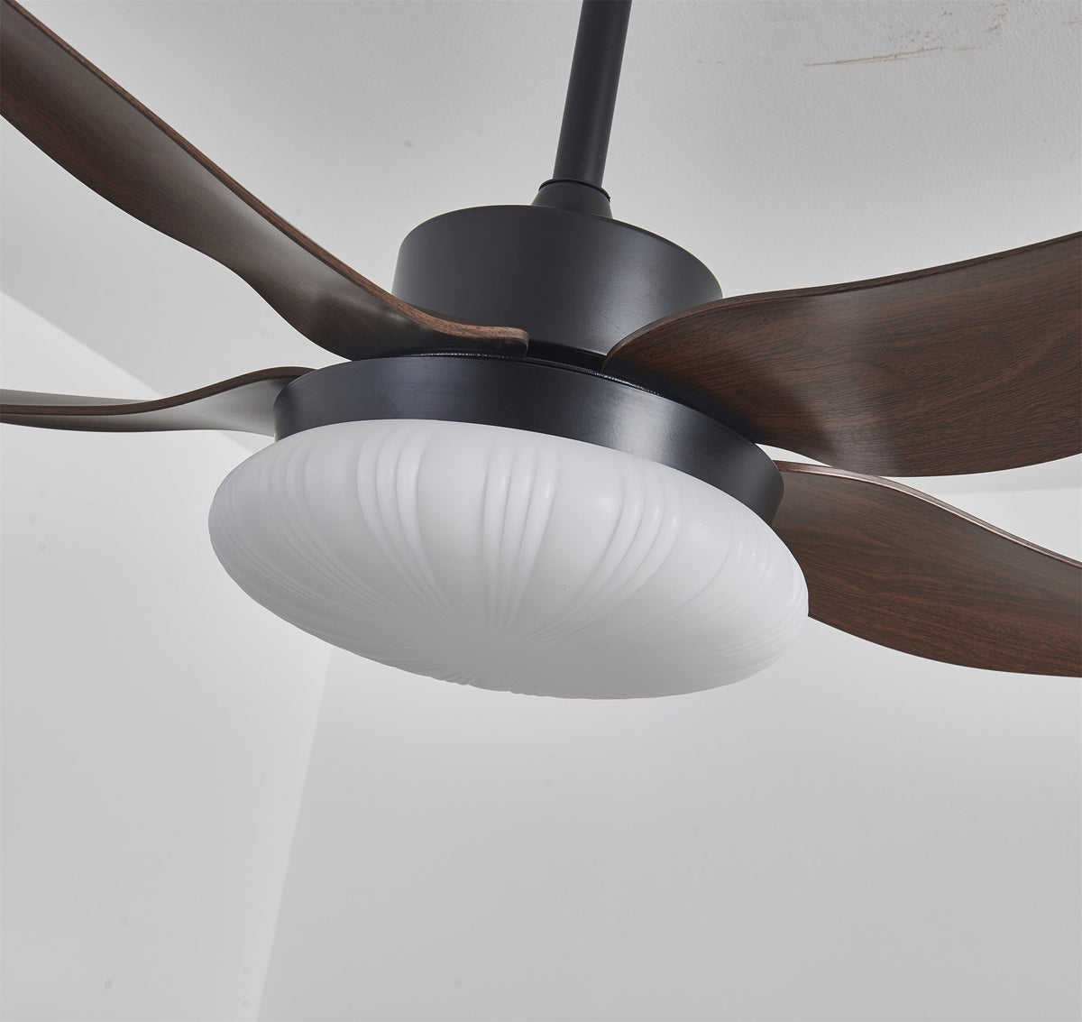 Belline Walnut Palm Blade LED Ceiling Fan Light
