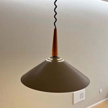 Aelith Retro Cone Retractable Pendant Light