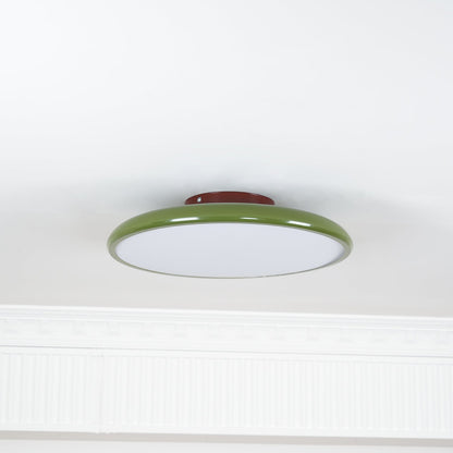 Solace Adjustable Swing Arm Ceiling Light