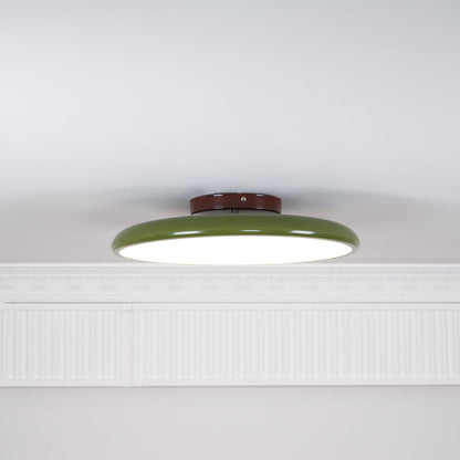 Solace Adjustable Swing Arm Ceiling Light