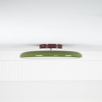 Solace Adjustable Swing Arm Ceiling Light