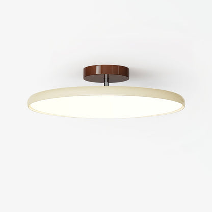 Solace Adjustable Swing Arm Ceiling Light