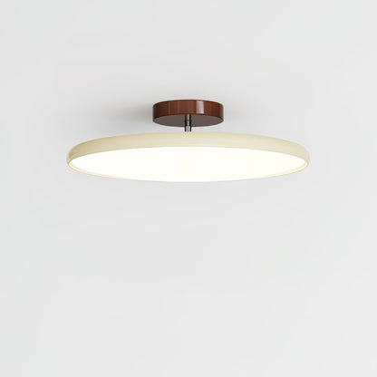 Solace Adjustable Swing Arm Ceiling Light