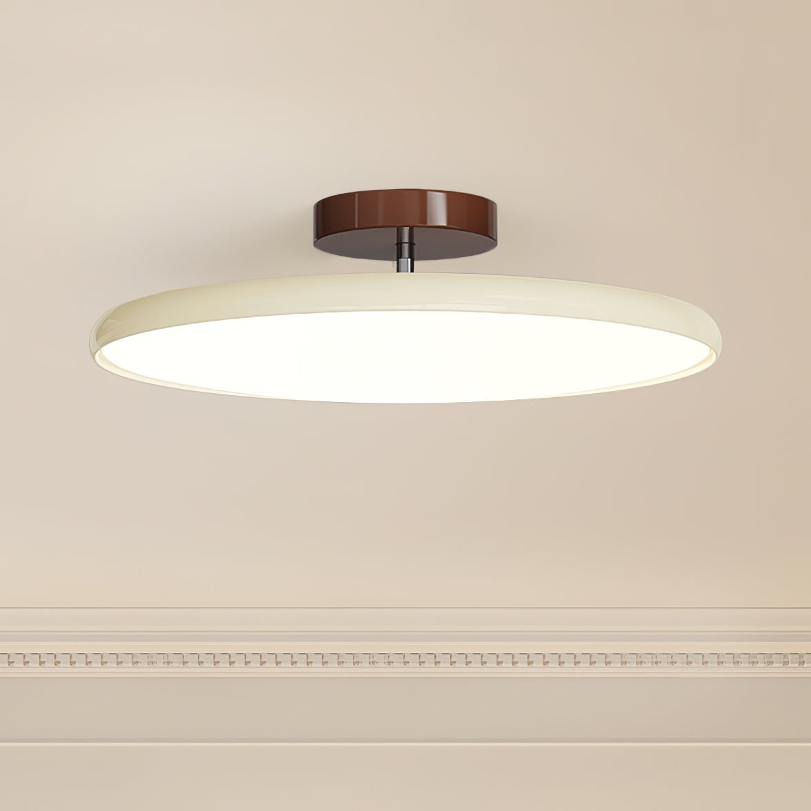 Solace Adjustable Swing Arm Ceiling Light