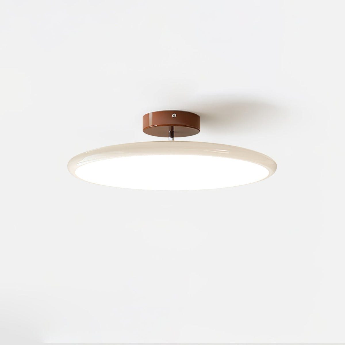 Solace Adjustable Swing Arm Ceiling Light