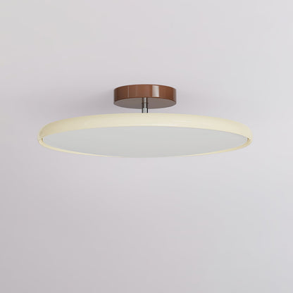 Solace Adjustable Swing Arm Ceiling Light