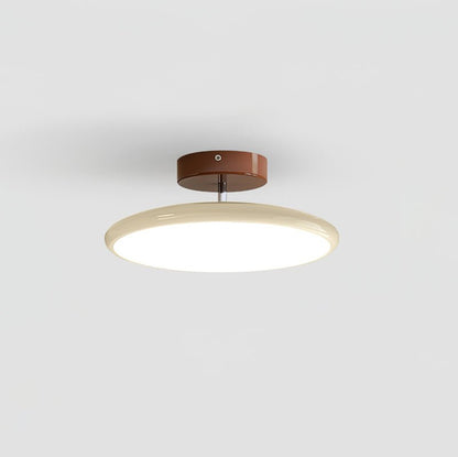 Solace Adjustable Swing Arm Ceiling Light