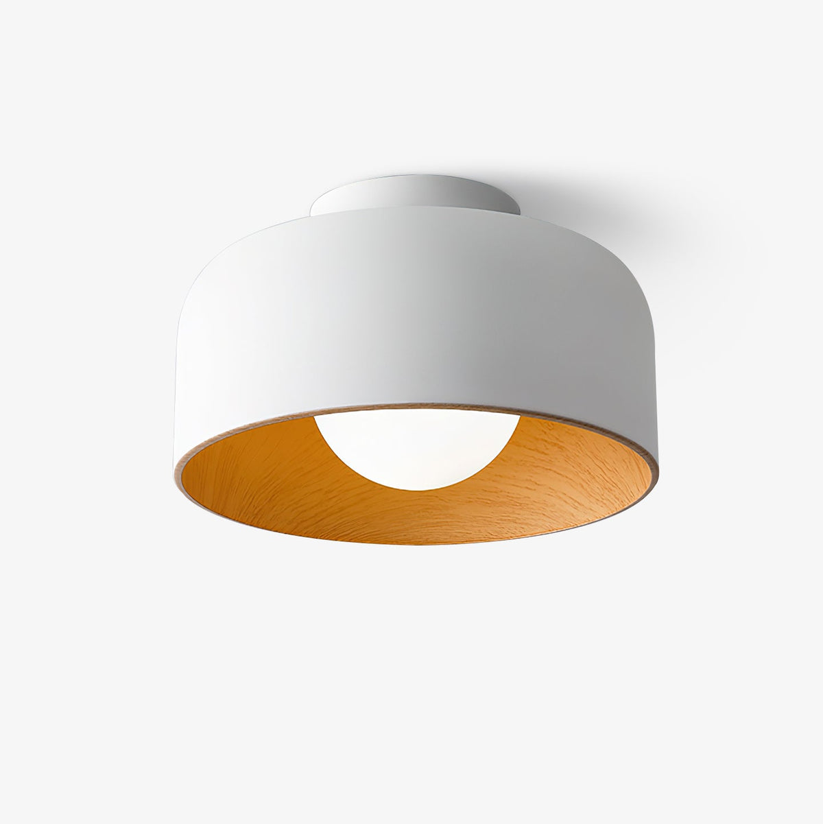 Lumosphere Glass Globe Ceiling Light