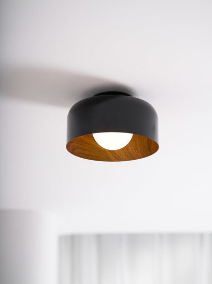 Lumosphere Glass Globe Ceiling Light