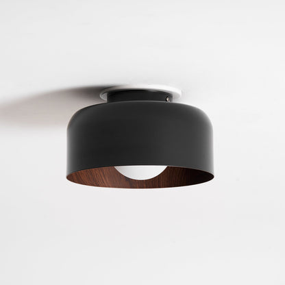 Lumosphere Glass Globe Ceiling Light