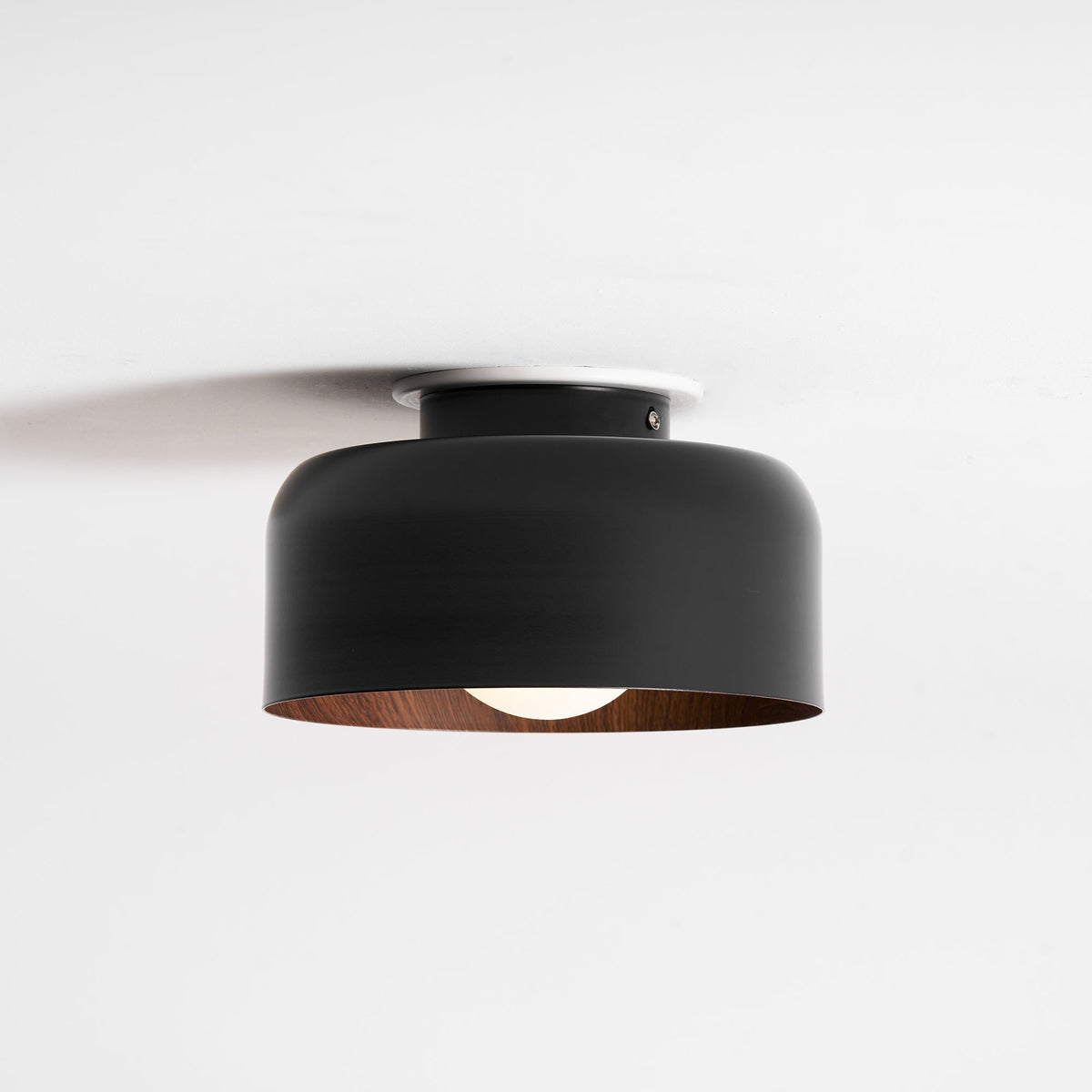 Lumosphere Glass Globe Ceiling Light