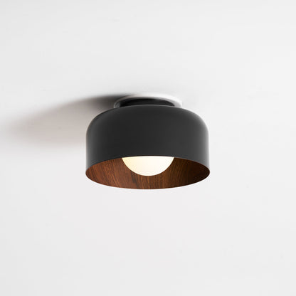 Lumosphere Glass Globe Ceiling Light