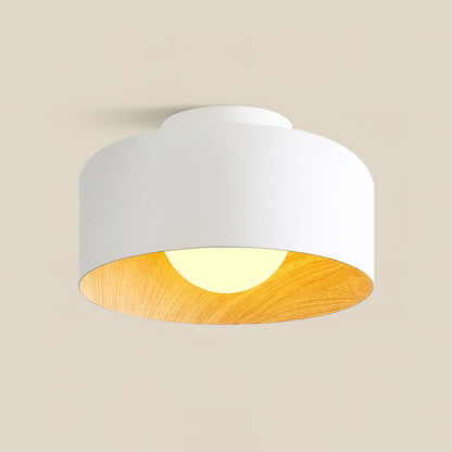 Lumosphere Glass Globe Ceiling Light