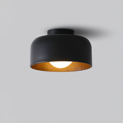 Lumosphere Glass Globe Ceiling Light