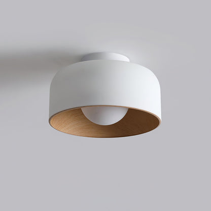 Lumosphere Glass Globe Ceiling Light