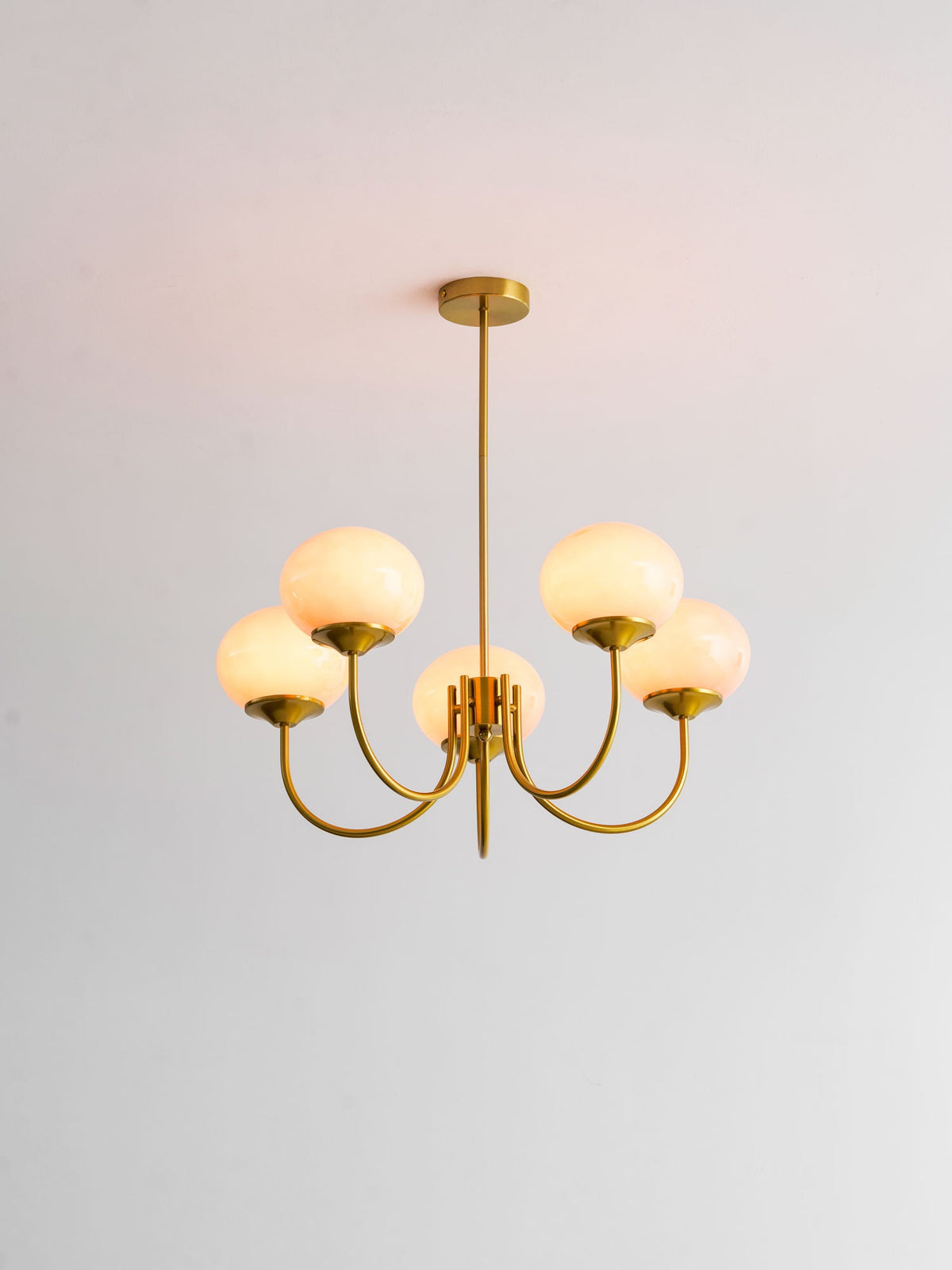 Mallow Glass Shade Chandelier