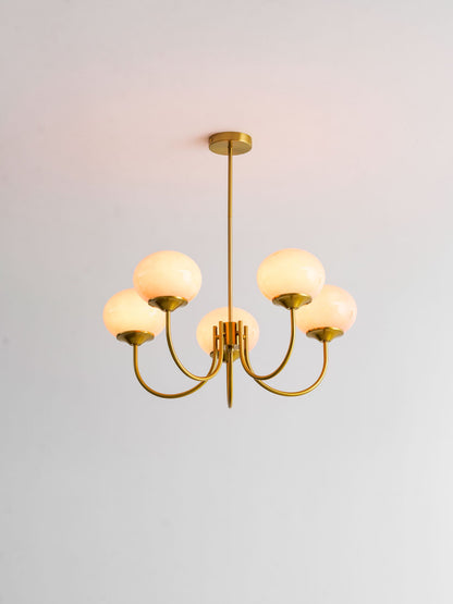 Mallow Glass Shade Chandelier
