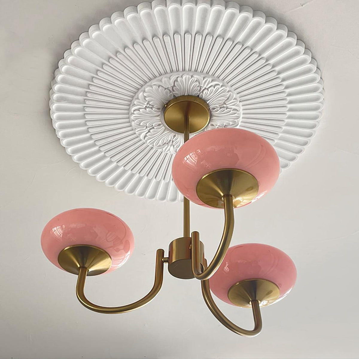 Mallow Glass Shade Chandelier