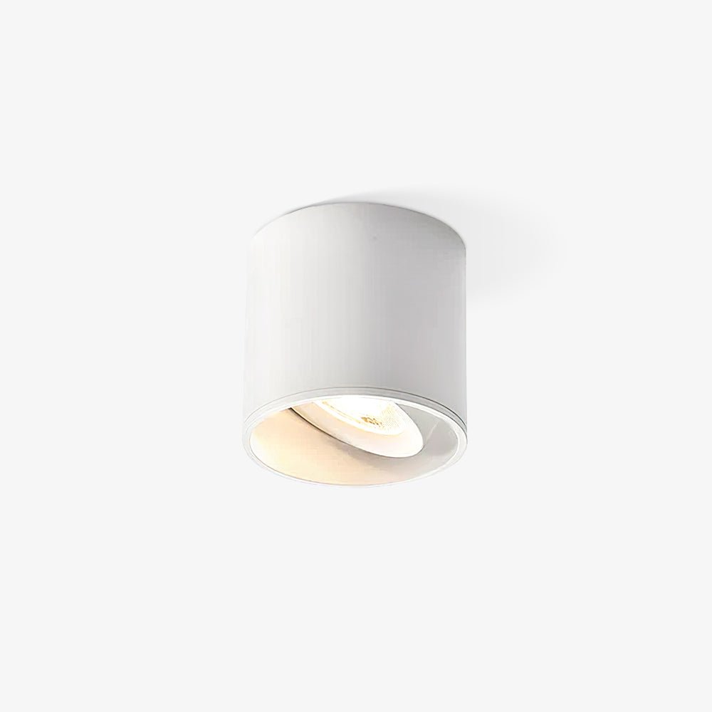 Pico LED Surface Mount Spotlight