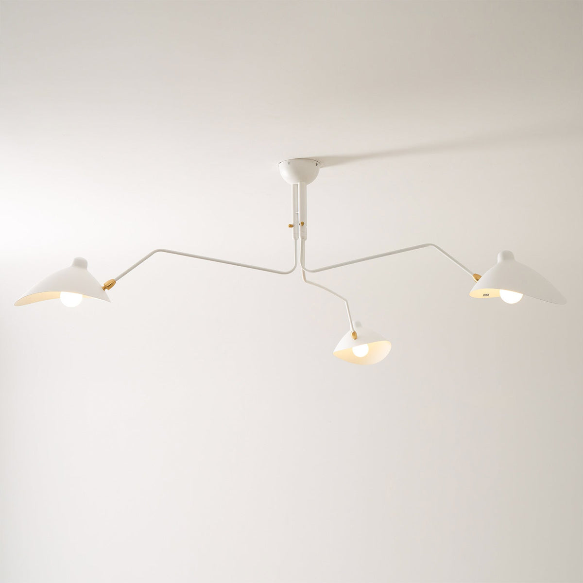 Trio Multi Arm Spider Ceiling Light