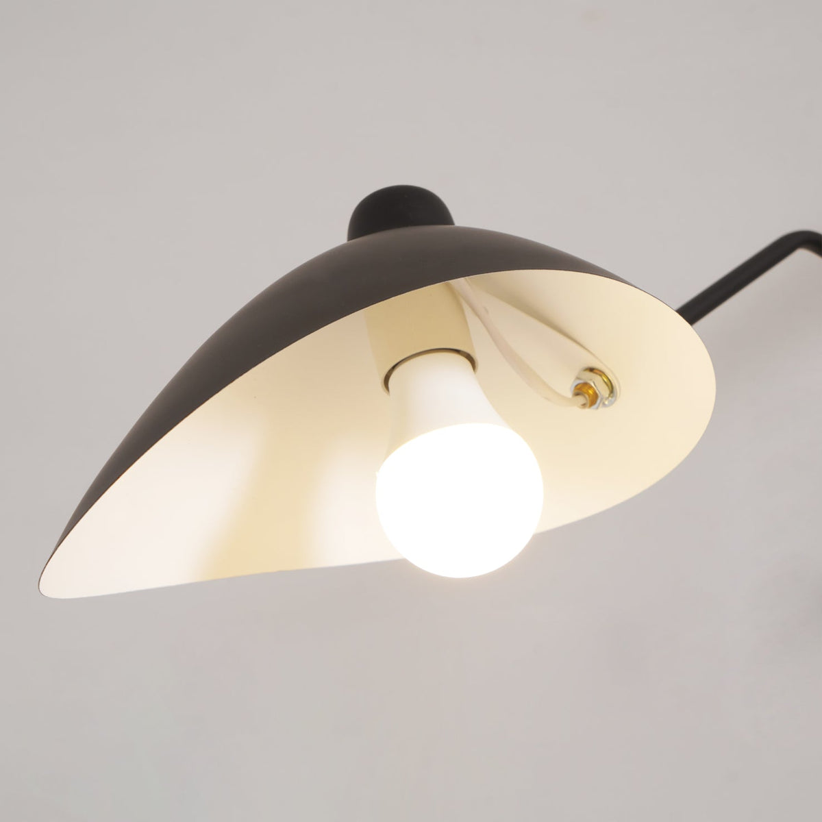 Trio Multi Arm Spider Ceiling Light