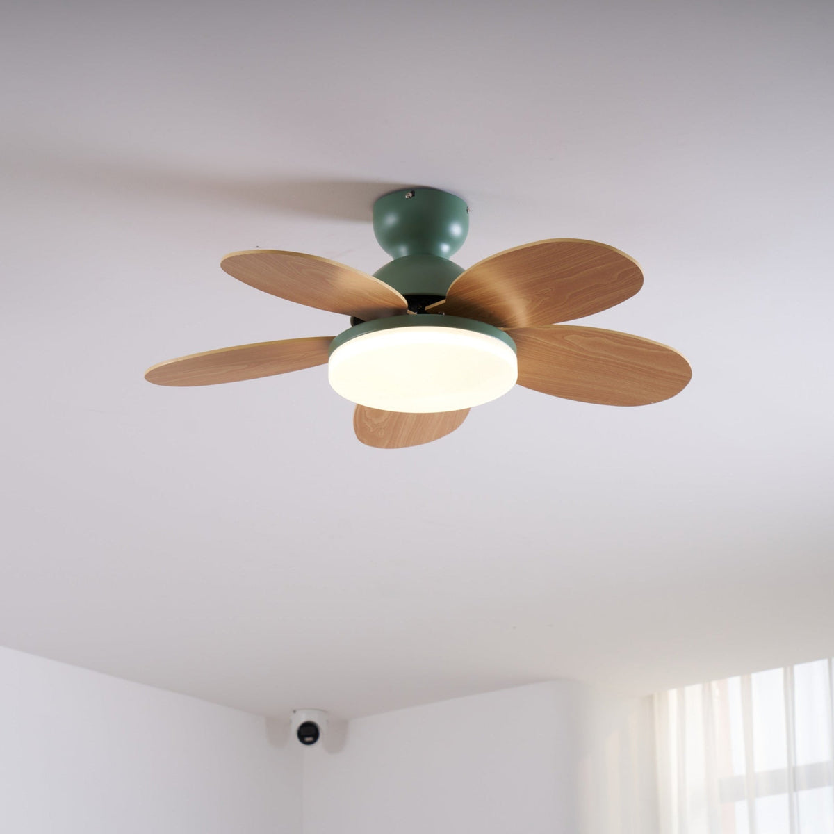Petalo Petal Blade Ceiling Fan Light
