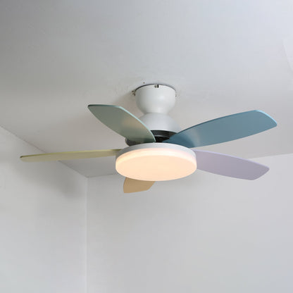 Petalo Petal Blade Ceiling Fan Light