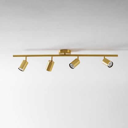 Ziva Adjustable Spotlight Wall Light