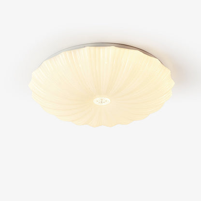 Conque Acrylic Shell LED Ceiling Light product photo