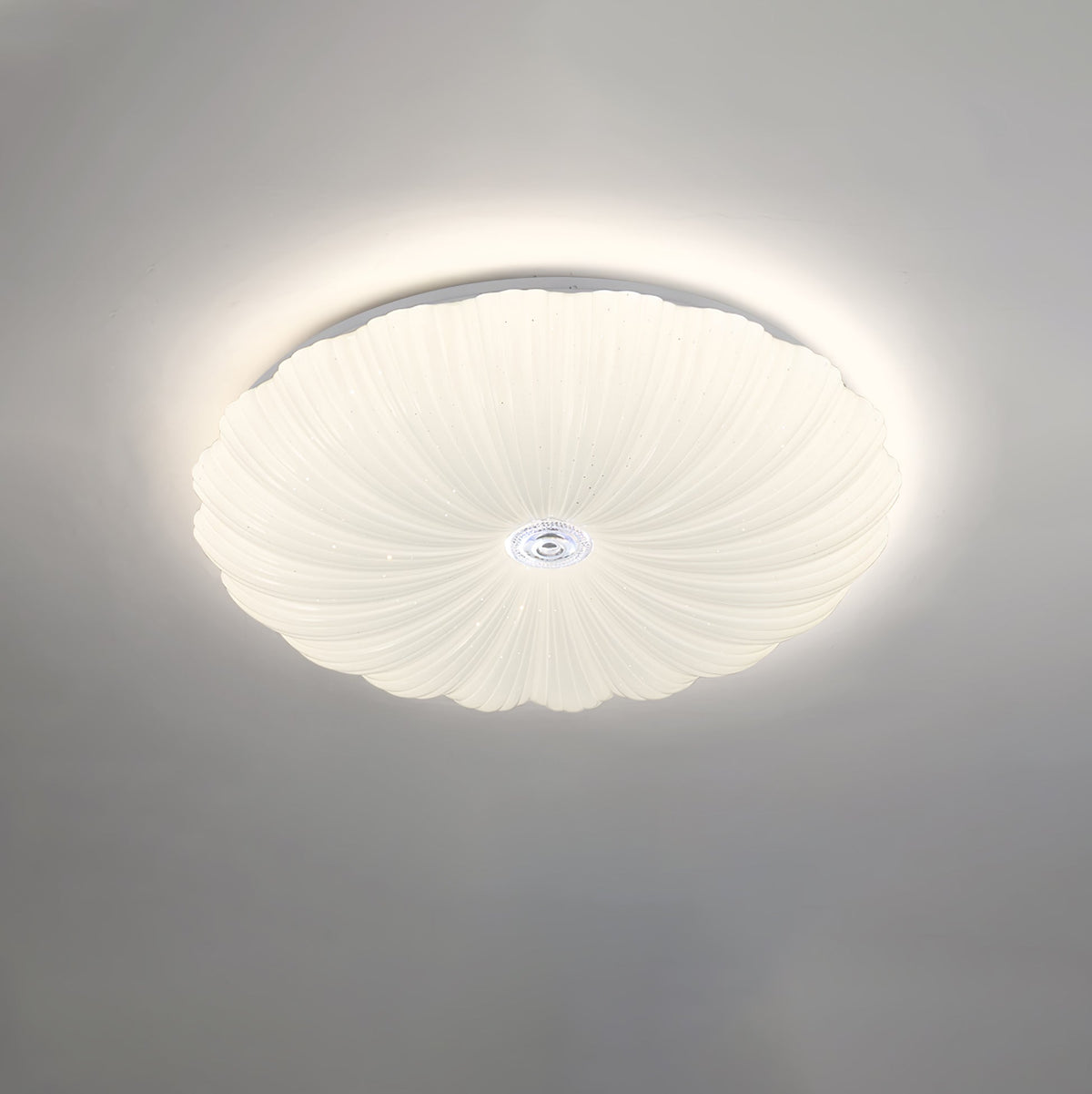 Conque Acrylic Shell LED Ceiling Light detail close up