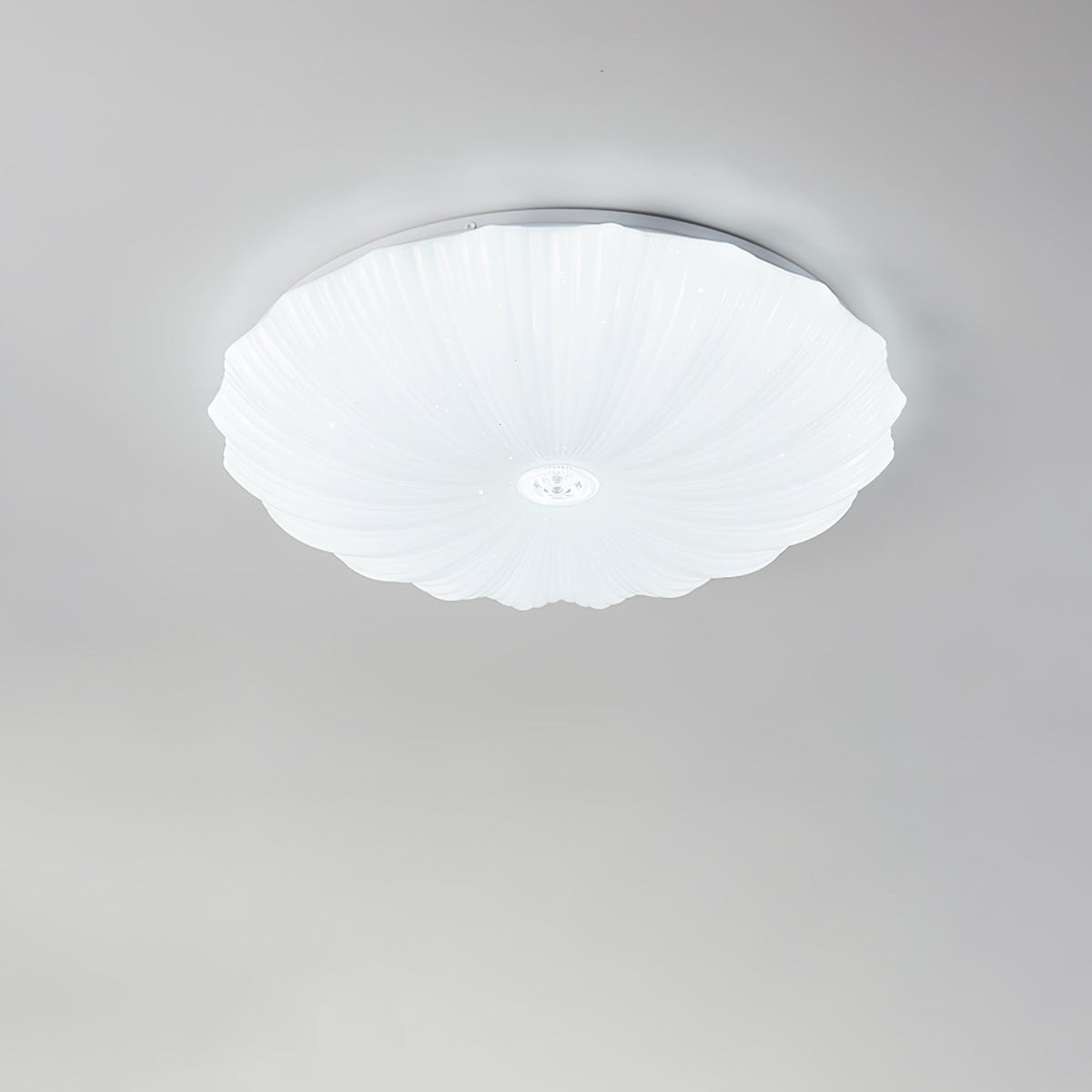 Conque Acrylic Shell LED Ceiling Light product photo