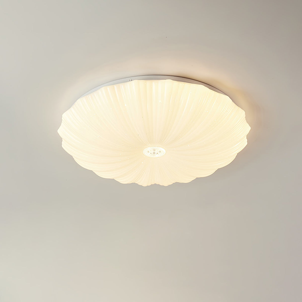Conque Acrylic Shell LED Ceiling Light product photo