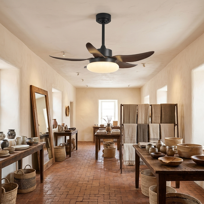Belline walnut palm blade ceiling fan light in a home decor boutique